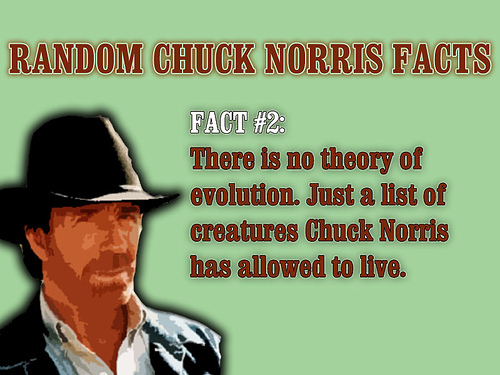 Chuck norris fact marriage